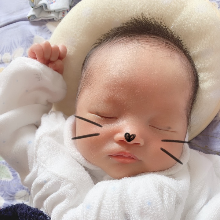 生後8ヶ月の赤ちゃん Tiktok Hashtag 生後8ヶ月の赤ちゃん Tiktok Hashtag