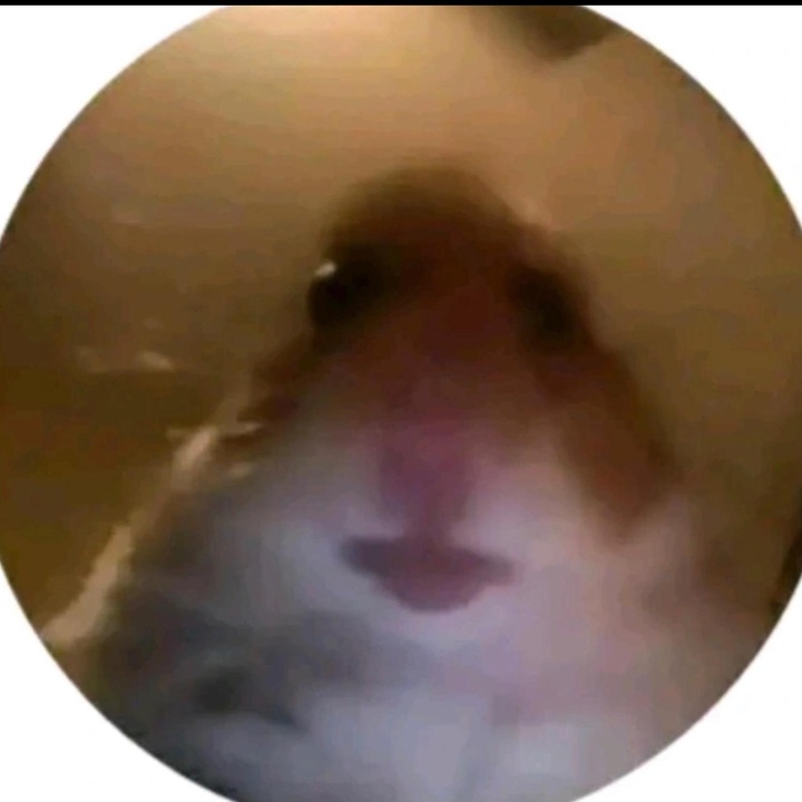 Fukobs0 Agalar Destekkkk Hamster Tiktok Profile