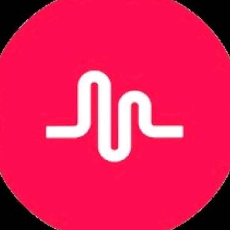 muserold_musicallys - original sound