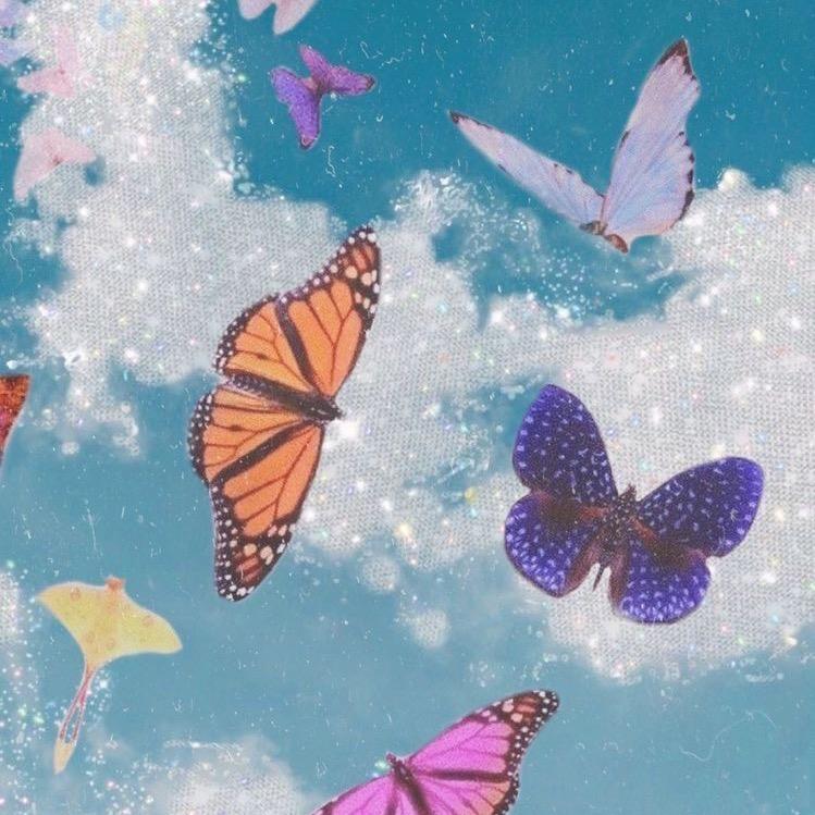 Butterfly Aesthetic Profile Pictures For Tiktok