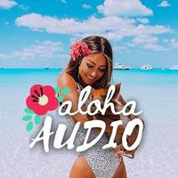 Sound cover