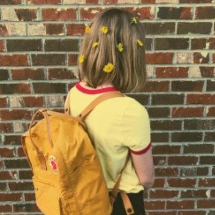 𝙷𝚒𝚋𝚒𝚜𝚌𝚞𝚜ツ - aesthetic