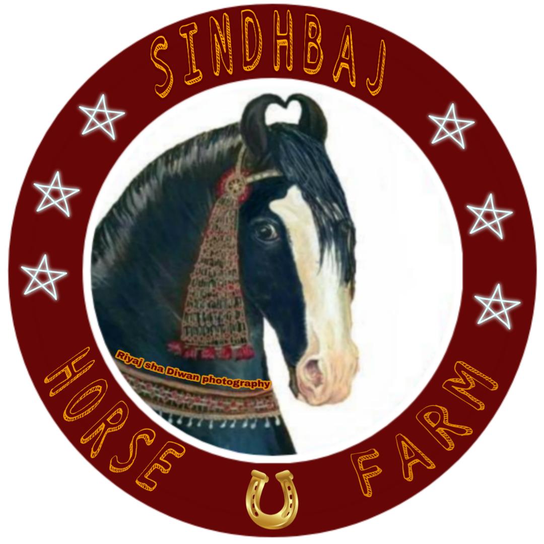 @ShindhbajHorseFarm - original sound