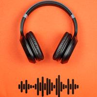 Sound cover