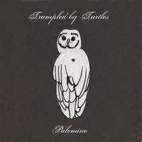 Wait so Long by Trampled by Turtles