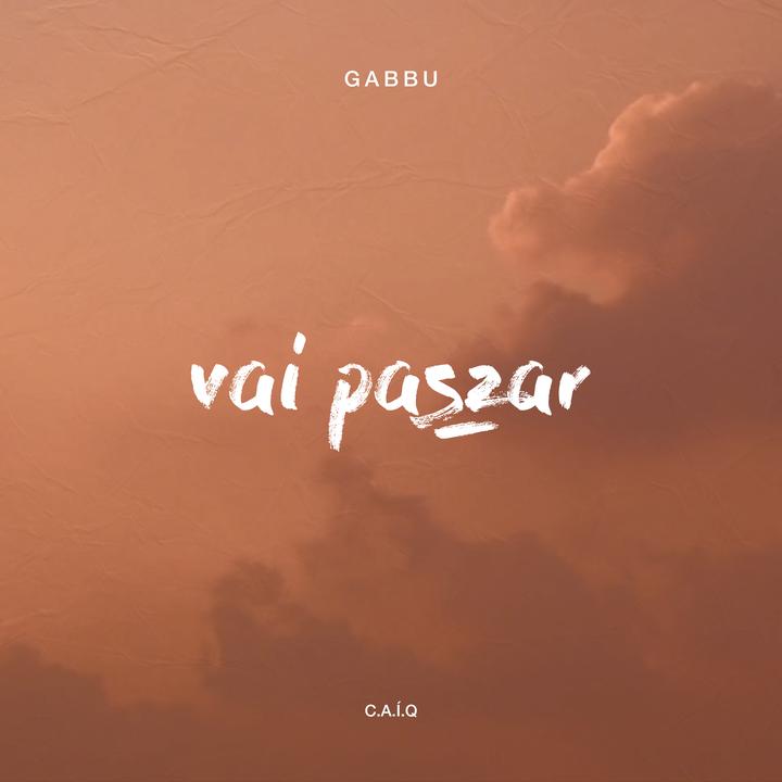 Vai Passar Criada Por Gabbu C A I Q Cancoes Populares No Tiktok