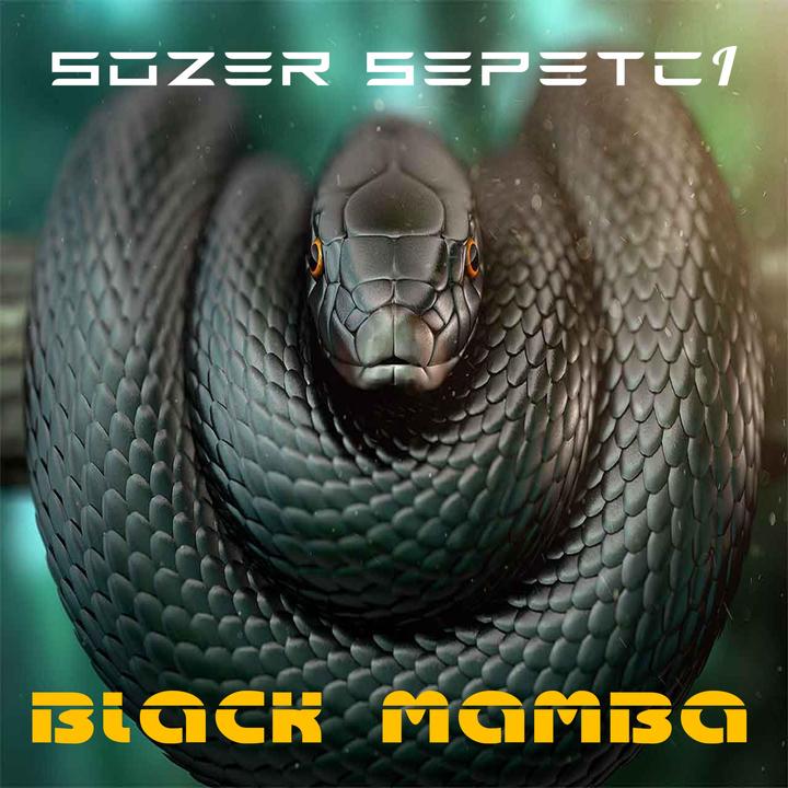 Sozer Sepetci Adli Yazar Tarafindan Olusturulan Black Mamba Tiktok Ta Populer Sarkilar