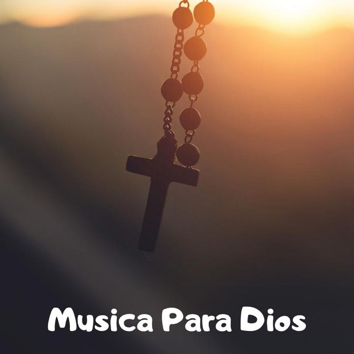 Discover Salvador Lopezno Results Found For Salvandoamipez S Popular Videos Tiktok