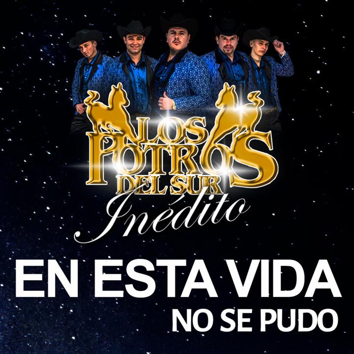 En Esta Vida No Se Pudo Creado Por Los Potros Del Sur Canciones Populares En Tiktok