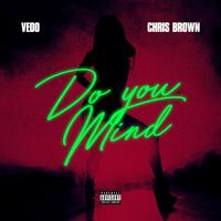Do You Mind by Vedo & Chris Brown