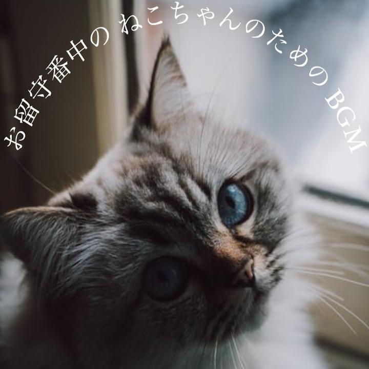 Japan Bgm Improvement Committeeが製作した猫が寝る睡眠bgm Tiktok ティックトック で人気の曲