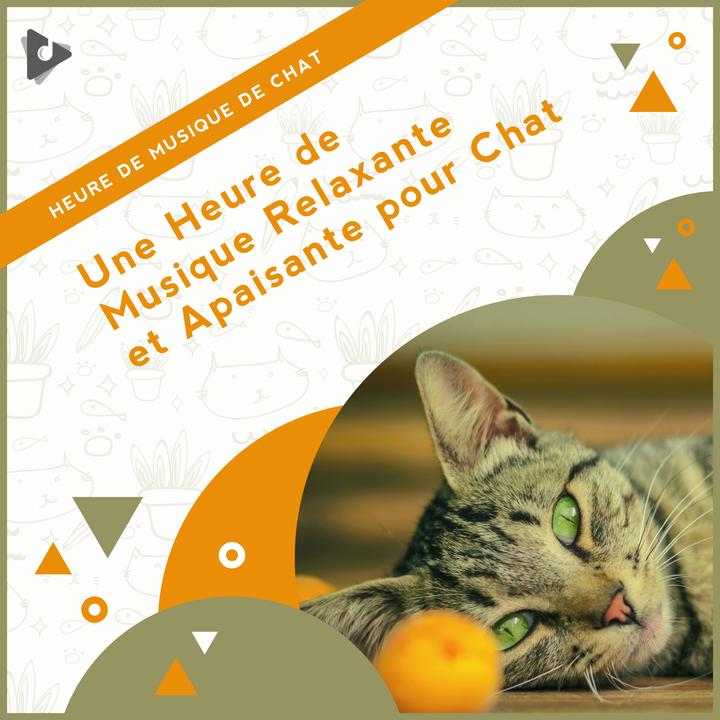 Musique Douce Pour Dormir Creation De Heure De Musique De Chat Musique Relaxante Pour Chats Musique Apaisante Pour Chatons Chansons Populaires Sur Tiktok