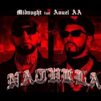 Song - Anuel AA Naturola