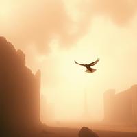 Blood in the Dust by Paula Ester