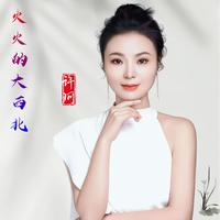 火火的大西北 (DJ默涵版) by 许珂