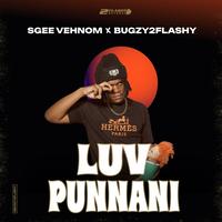Song - Luv Punnani