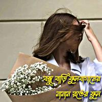 বন্ধু বাড়ি ফুলবাগানের নানান রঙের ফুল by Mohammed Rakib