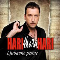 Song - Voleo bih da te ne volim
