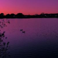 Dreaming by Gakuen