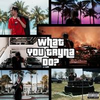 What You Tryna Do? by Suicidesabyss!