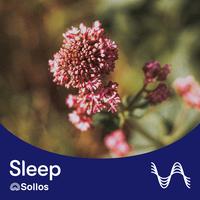 Taking Me Back - Pt. 15 / Sollos Sleep Mix by LA Studios