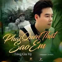 Phải Quên Thật Sao Em - DG Remix by Tống Gia Vỹ