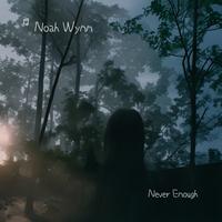 Never Enough by Noah Wynn