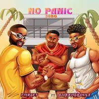 No Panic (30 BG) (feat. Ojazzyigbonile) by Ftarget