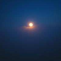 Under The Moonlight by Bonky
