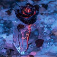 MOTION by luh frostyy