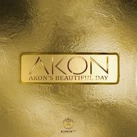 Akon's Beautiful Day by Akon