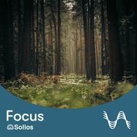Rainy Day - Sollos Focus Soundscape - Pt. 7 by Robert Stambler