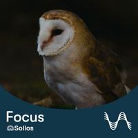 Night Owl - Sollos Focus Soundscape - Pt. 10 by Robert Stambler