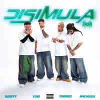 Song - DISIMULA