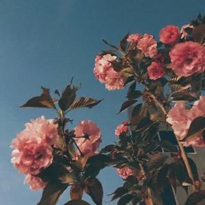 G R W M Get Ready With Me Tiktok Profile G R W M Get Ready With Me Tiktok Profile