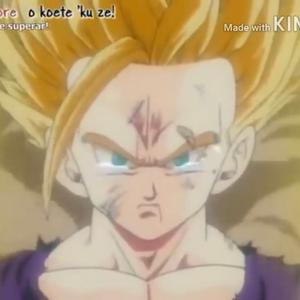 わっさー Tiktok Profile