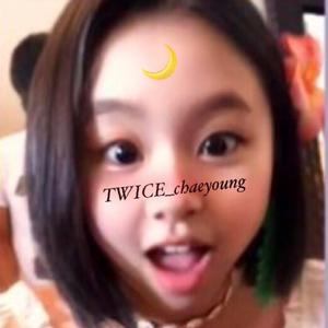 Twiec Chaeyoung 赤ちゃん怪獣 Tiktok Profile