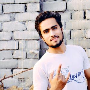 King P M Zone Parvej Mansoori Tiktok Profile King P M Zone Parvej Mansoori Tiktok Profile