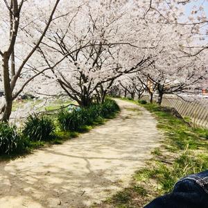 小野遥輝 Tiktok Hashtag 小野遥輝 Tiktok Hashtag