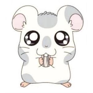 Shigaota こめかみってどこ Tiktok Profile Shigaota こめかみってどこ Tiktok Profile
