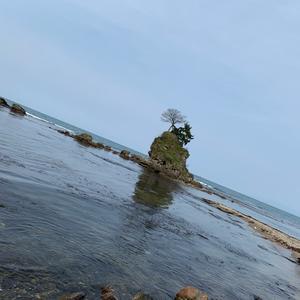 123twmd 海猿 Tiktok Profile 123twmd 海猿 Tiktok Profile