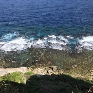 Sashimannn Sashiman Tiktok Profile