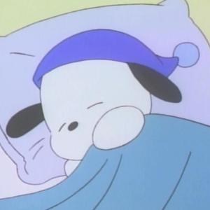Amuhita びえん Tiktok Profile Amuhita びえん Tiktok Profile