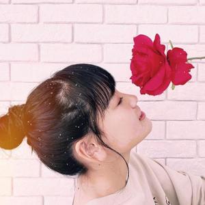 Ebidan Dd みずきんぐ Tiktok Profile Ebidan Dd みずきんぐ Tiktok Profile