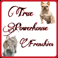 truepowerhousefrenchies
