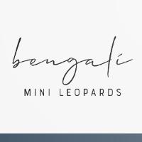 bengali.leopards