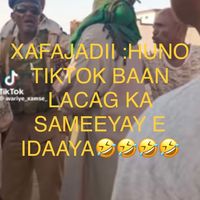 TikTok Account - https://p16-amd-va.tiktokcdn.com/tos-maliva-avt-0068/01fbe620891155e6a8243f6441a76081~tplv-tiktokx-cropcenter:200:200.jpeg