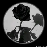 bellakita2828