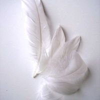 angeldelcosmos270