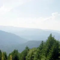 ellspam_5
